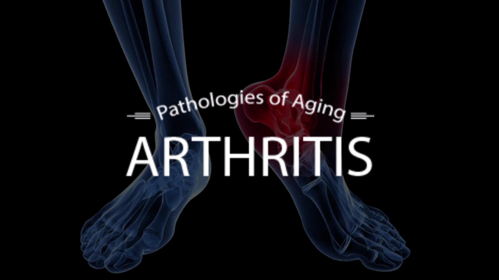 Ayurveda & Anti-Aging (Secrets of Ayurveda and Chinese Medicine - Diet and Herbs for Anti Aging) - Image 6