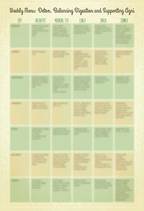 Ayurvedic Detox - Image 6