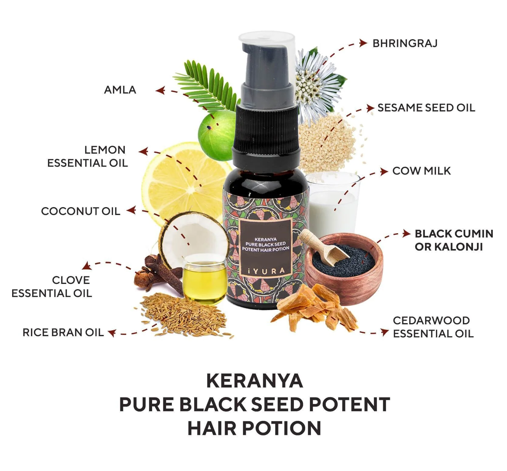 Mini Keranya | Pure Black Seed Potent Hair Potion - More Shiny Hair On The Head, Not In The Comb - Image 2