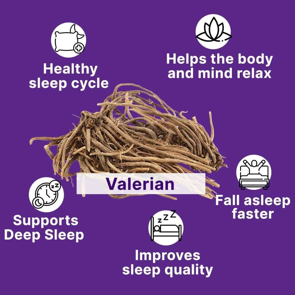 Sleep Gummies with KSM 66 Ashwagandha and Valerian Root for Blissful Sleep | Tasty Blueberry Flavor - Pack of 2 - Image 4