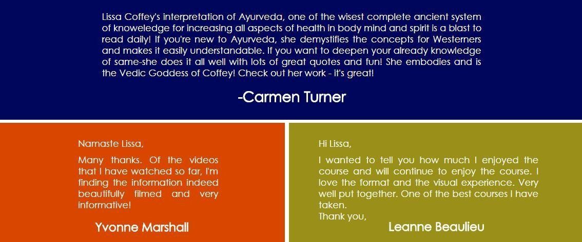 The Ayurveda Experience - Fundamentals of Ayurveda on Diet, Exercise, Meditation, Beauty and Body Work - Digital - Image 11