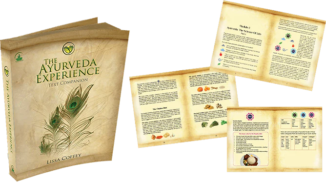 The Ayurveda Experience - Digital - Image 3