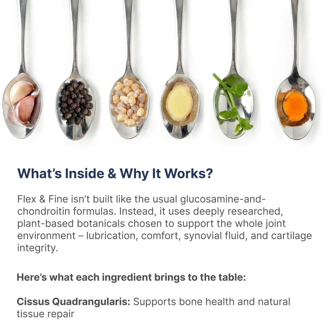 The Mobility Manual (eBook) | A 30-Day Guide to Mastering Joint Nutrition, Movement & Longevity - Image 3