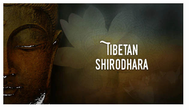 Tibetan Shirodhara - Image 8